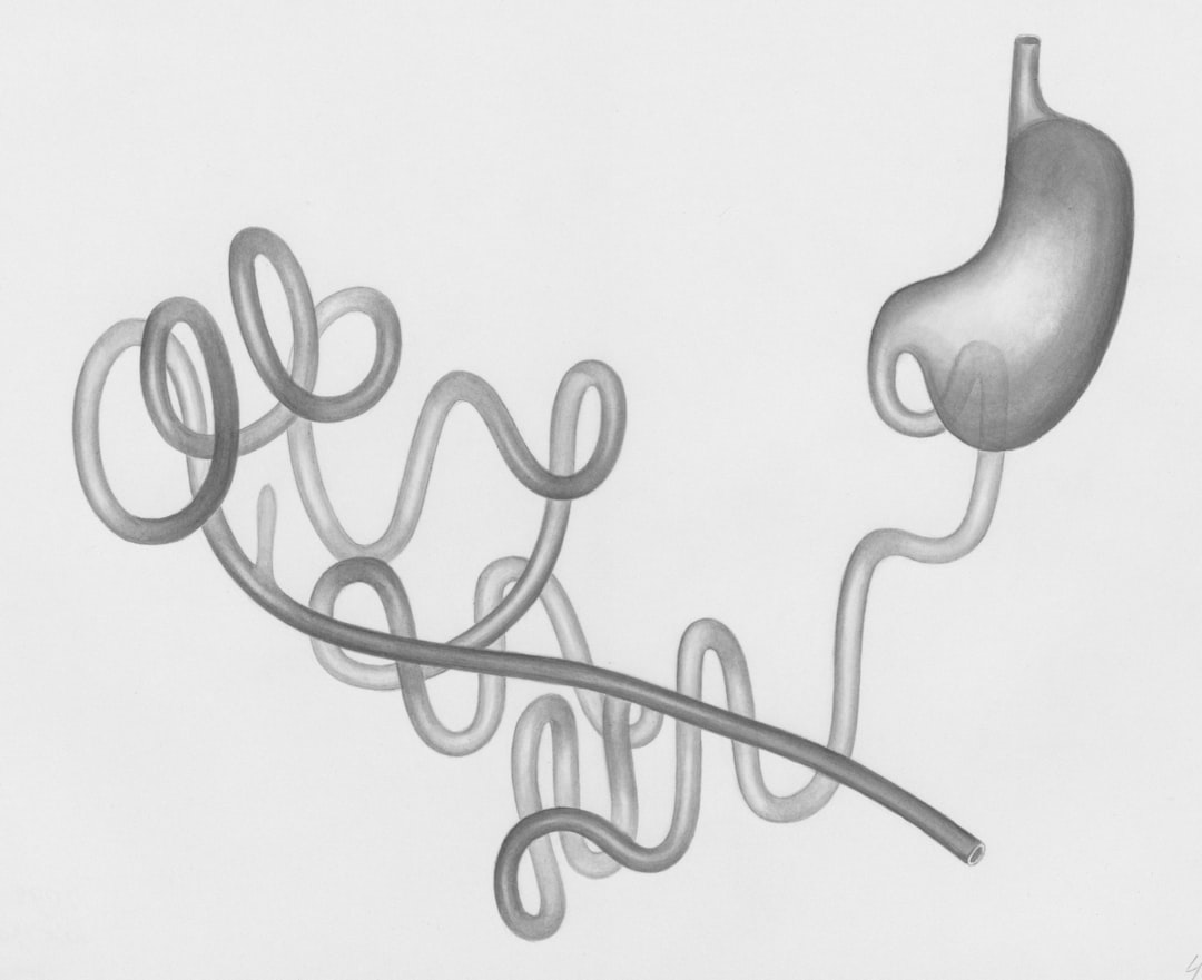 arte interactivo imagen 2