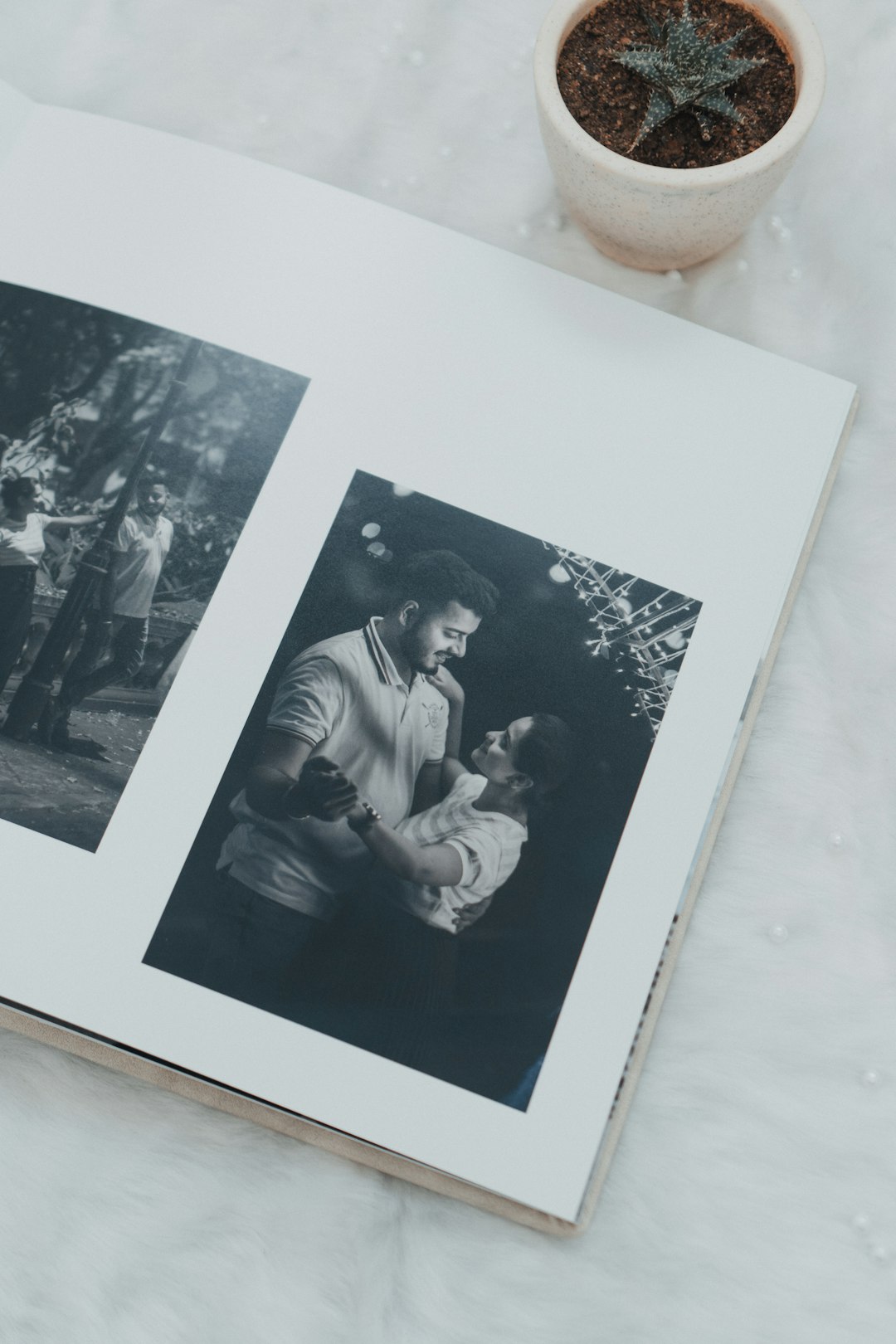 fotografía de retratos de pareja imagen 2